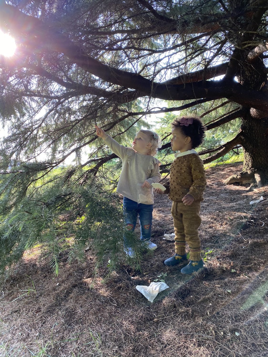 two children looking at a tree