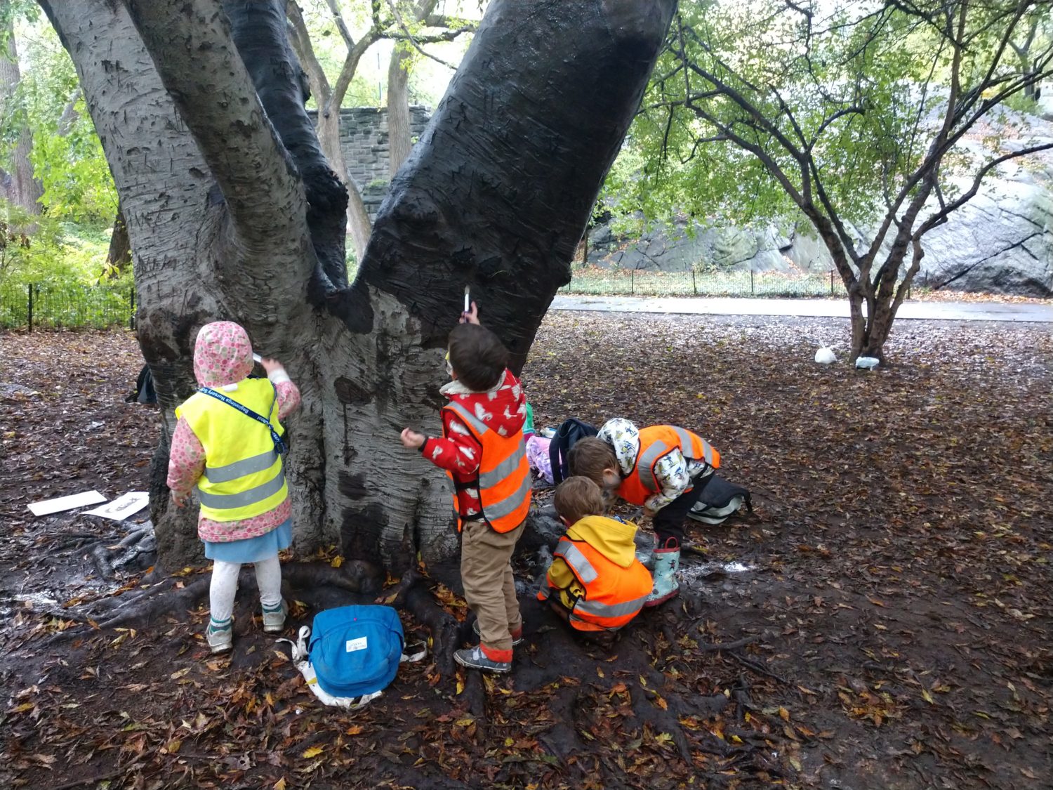 kids painting a tree with water