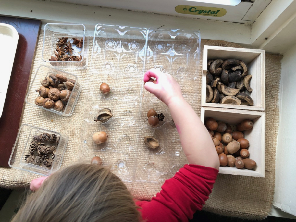a child organizing nuts