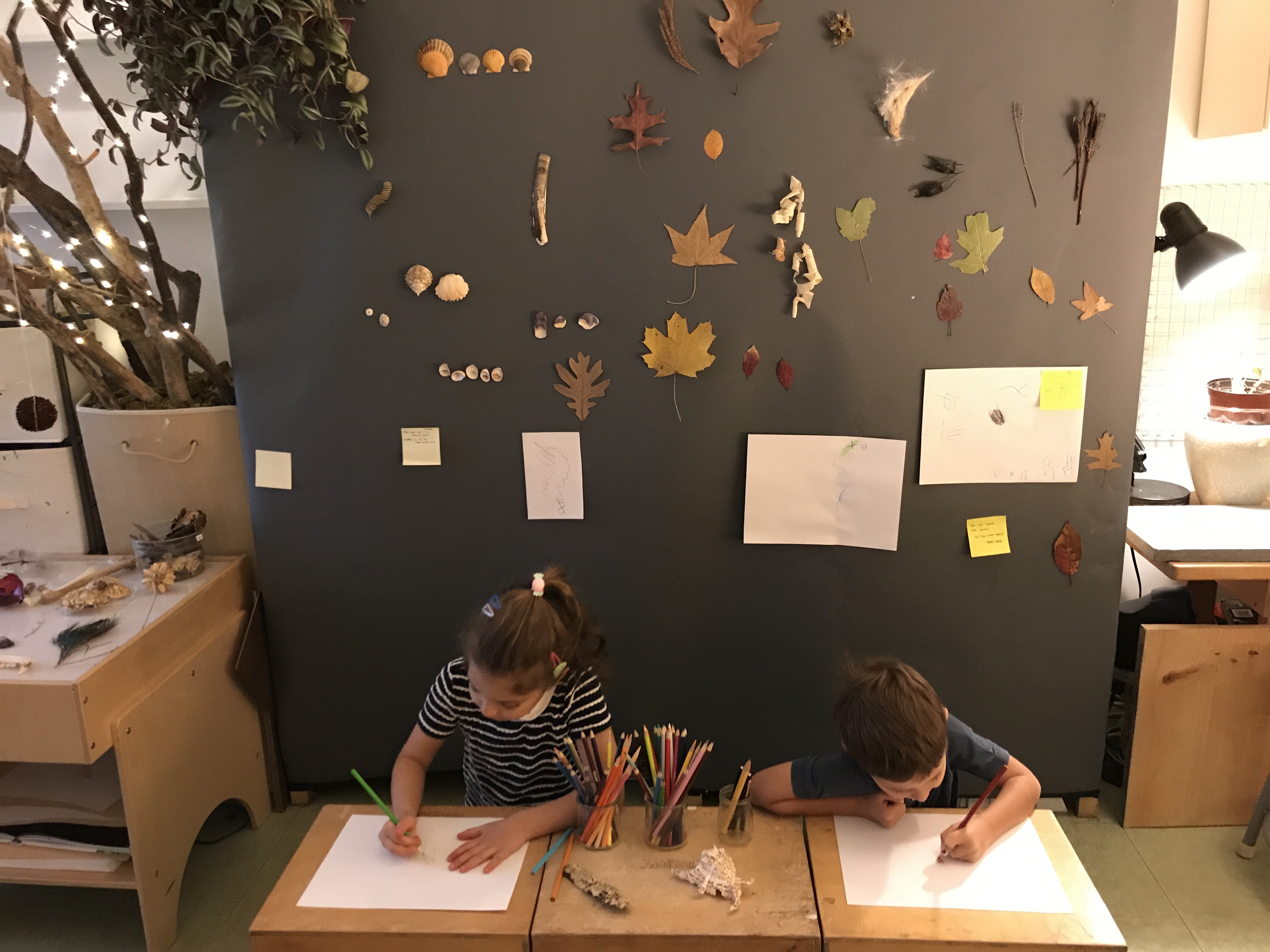 children drawing leaves with leaves displayed behind them