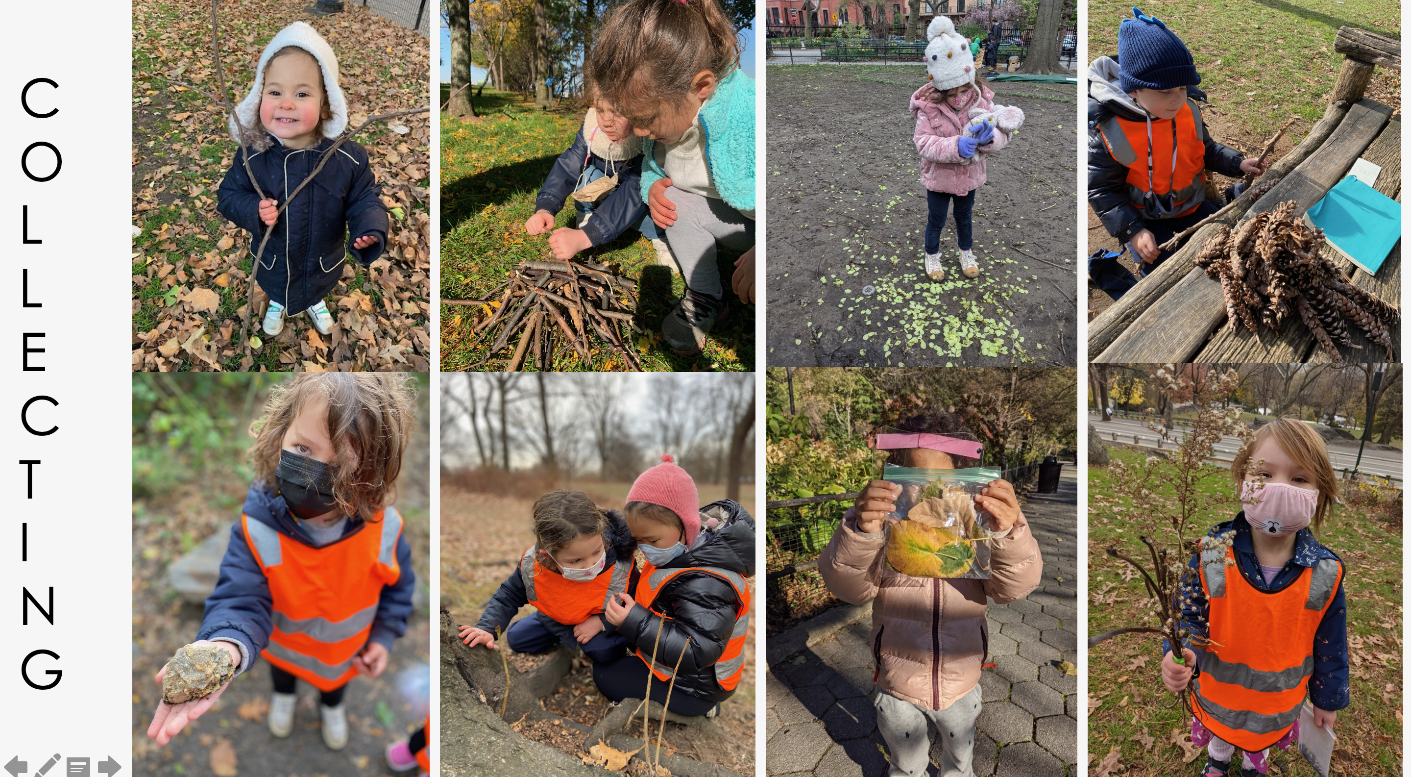 collage of children collecting artifacts outdoors